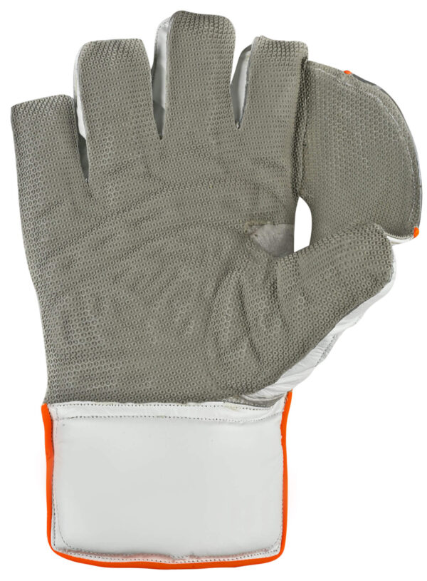 CA Plus 20K Wicket Keeping Gloves - Image 2