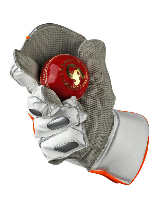 CA Plus 20K Wicket Keeping Gloves - Image 3