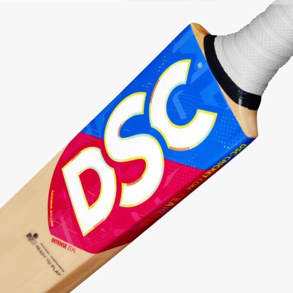 DSC INTENSE ZEAL KW CRICKET BAT (SH) - Ready to Play