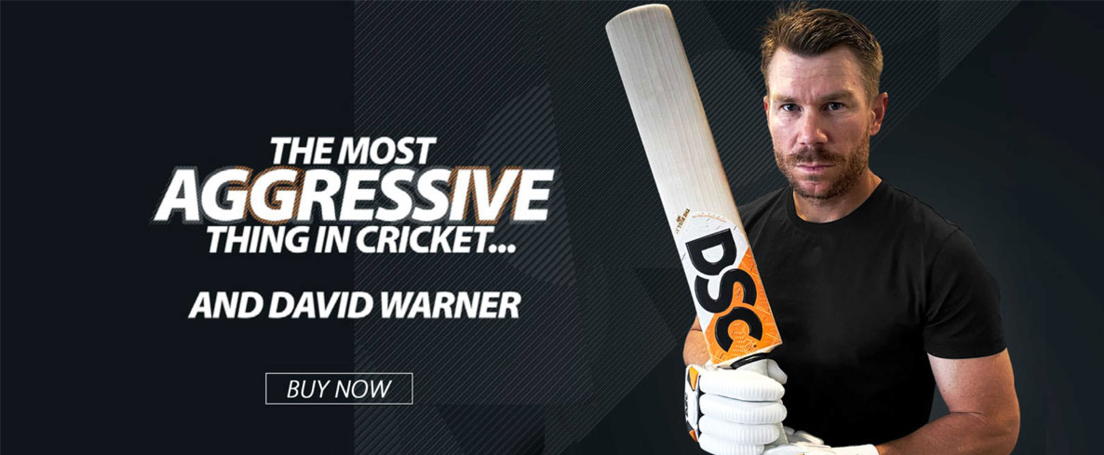 david-warner-Banner