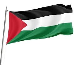 Palestine Flag with pole pocket (Cloth)