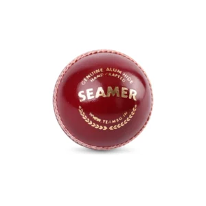 SG SEAMER 2-piece Cricket Leather Ball Red156g Waterproof