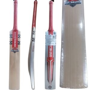 Gray Nicolls GN1 Astro English Willow Cricket Bat - SH