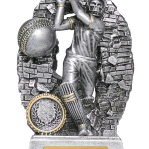 Trophy Crash Through Cricket Batter Male